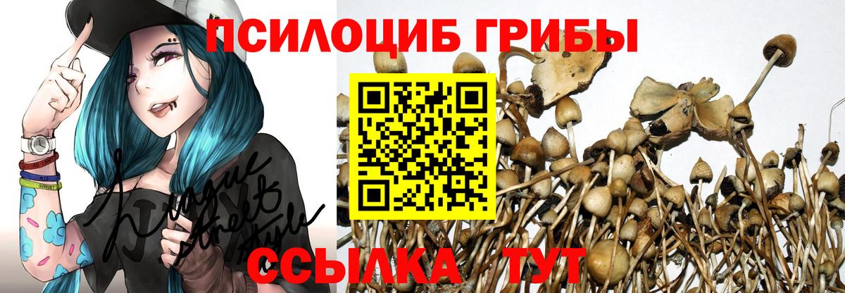 Псилоцибиновые грибы Cubensis Чайковский