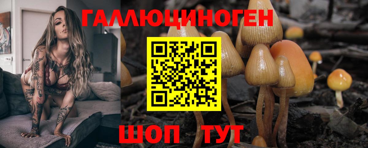 Галлюциногенные грибы Magic Shrooms  Вход с VPN  Чайковский 